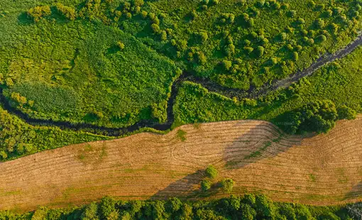 Neoliv Land Alibag Images